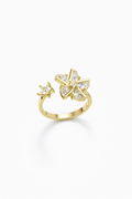 Anello Astra