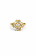 Anello purezza