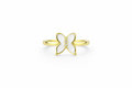 Anello Lattea